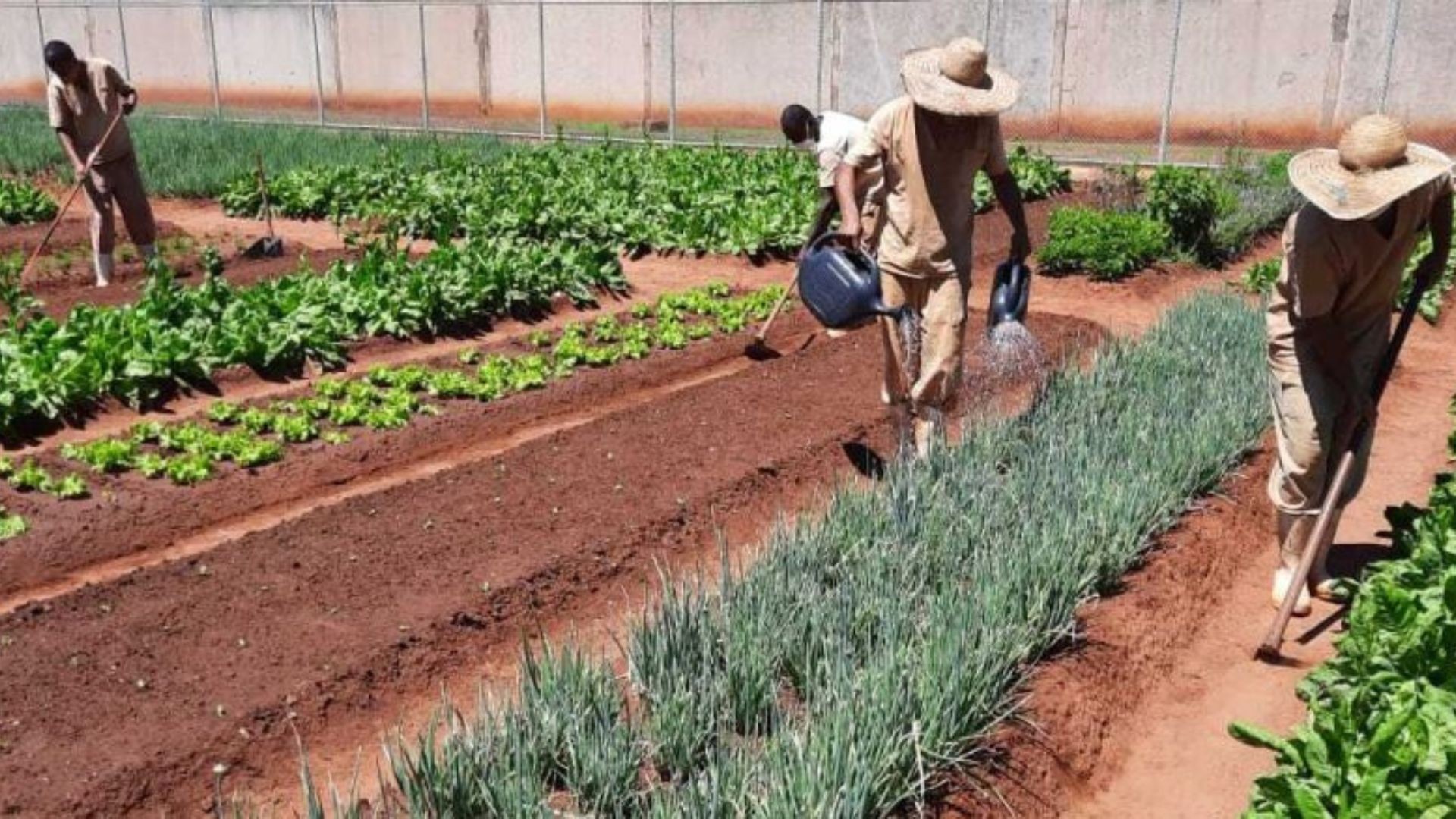 foto Not&iacute;cia Bauru