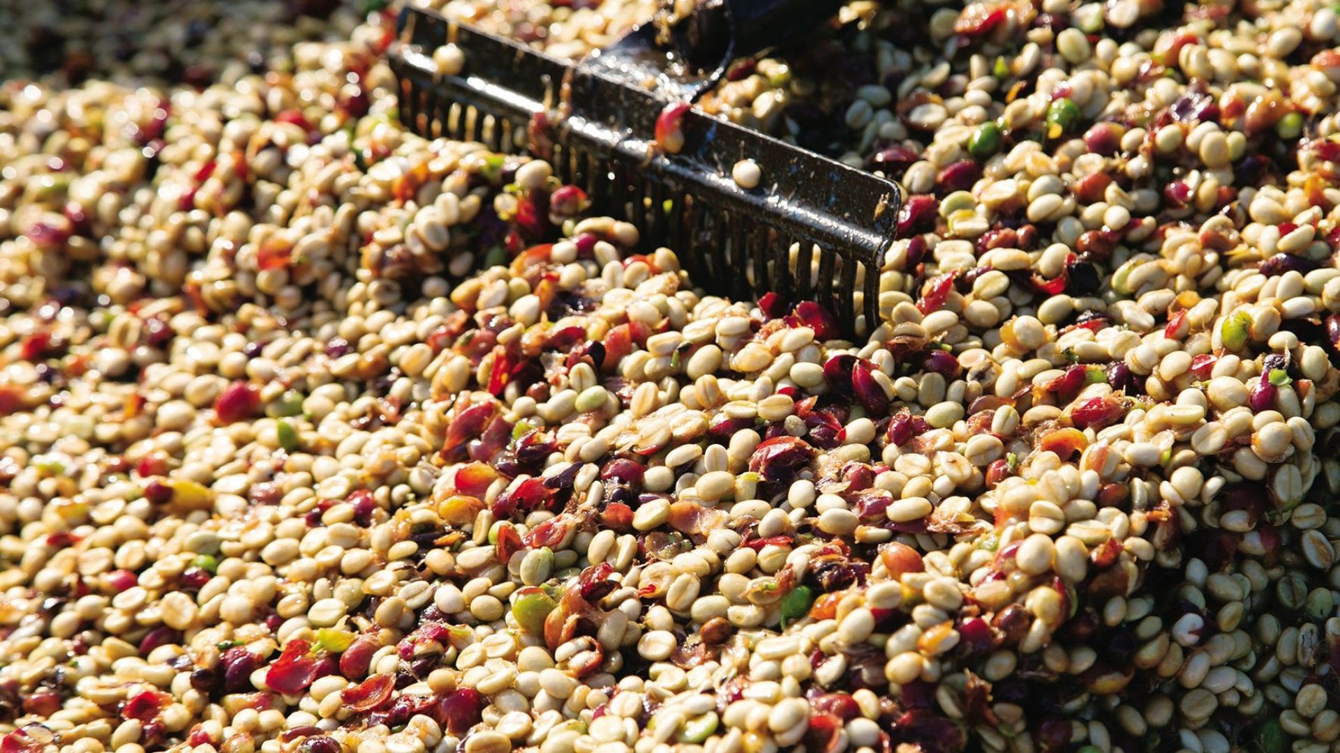 foto Not&iacute;cia Bauru