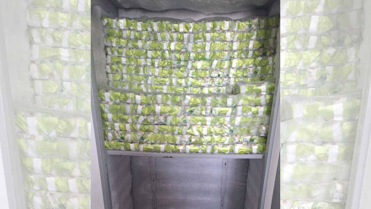 foto Not&iacute;cia Bauru