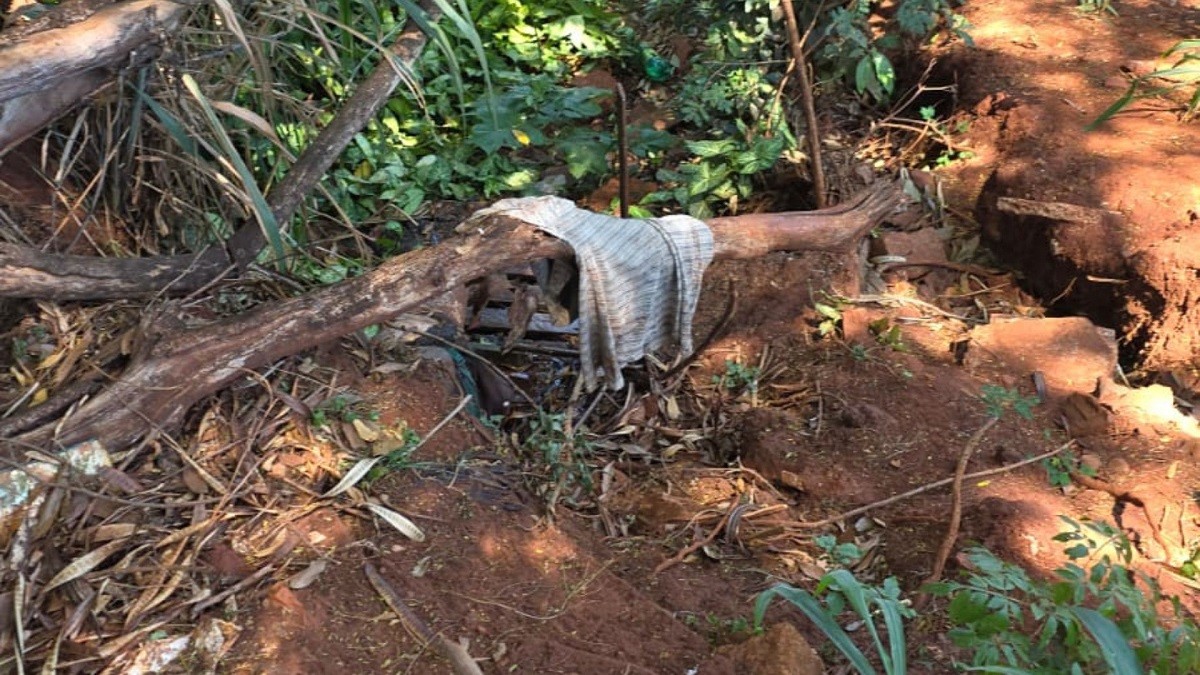 foto Not&iacute;cia Bauru