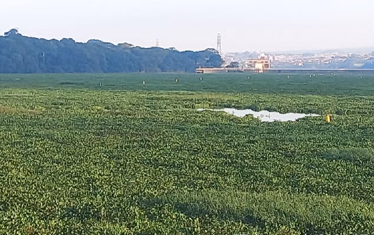 foto Not&iacute;cia Bauru