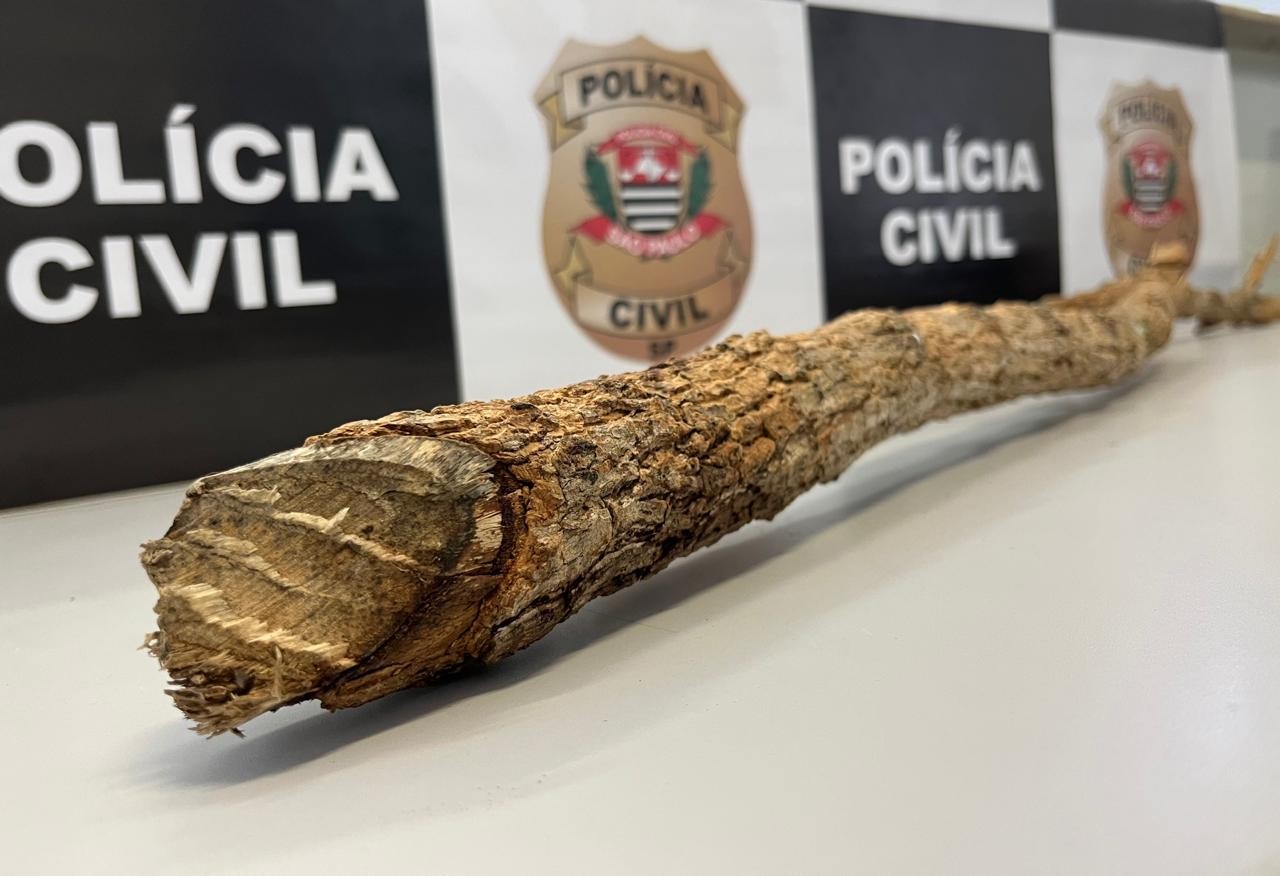 foto Not&iacute;cia Bauru